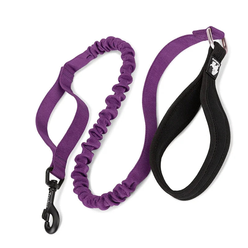 TrueLove Pet Leash Elastic Resistant to Pull for Big Medium Small Dog Accessories Supplies Nylon Yarn Webbing TLL2281