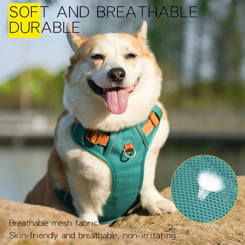 HP308--Reflective Durable Pet Harness,Adjustable webbing make the harness Well-fitting for dogs.Soft mesh under the fabric.