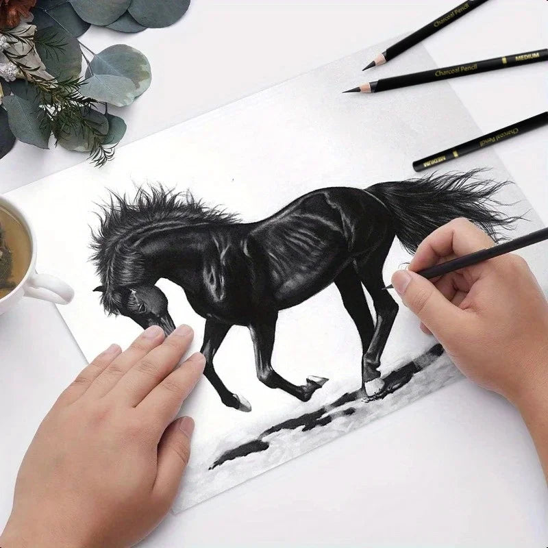 12PCS Soft, Medium, Hard, Painting, Drawing, Office, Cultural, and Educational Supplies Art Supplies Sketching Charcoal Pen