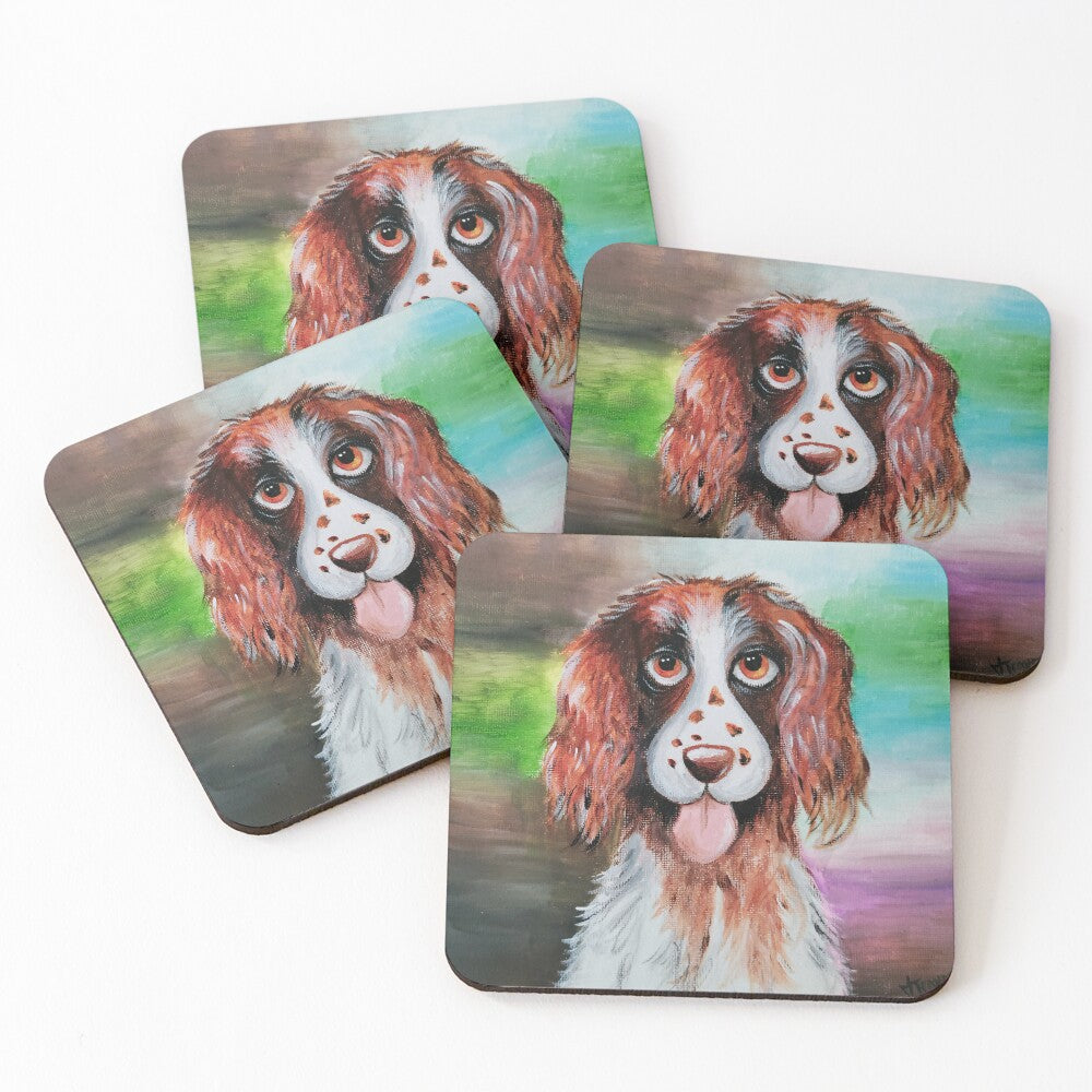 Shiloh The Springer Coasters