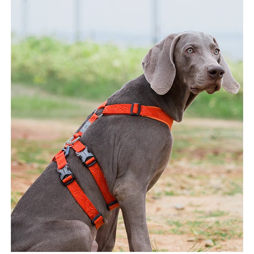 TRUELOVE Pet Harness Double-H Nylon Personalized Dog Harness NO PULL Reflective Breathable Adjustable YH1803