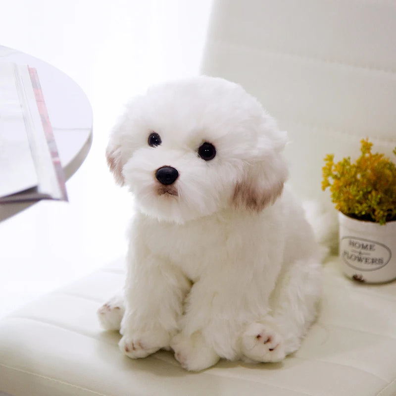 High Quality lifelike Maltese Dog Plush Toy Soft Cartoon Animal Dog Stuffed Doll Home Decoration Birthday Gift