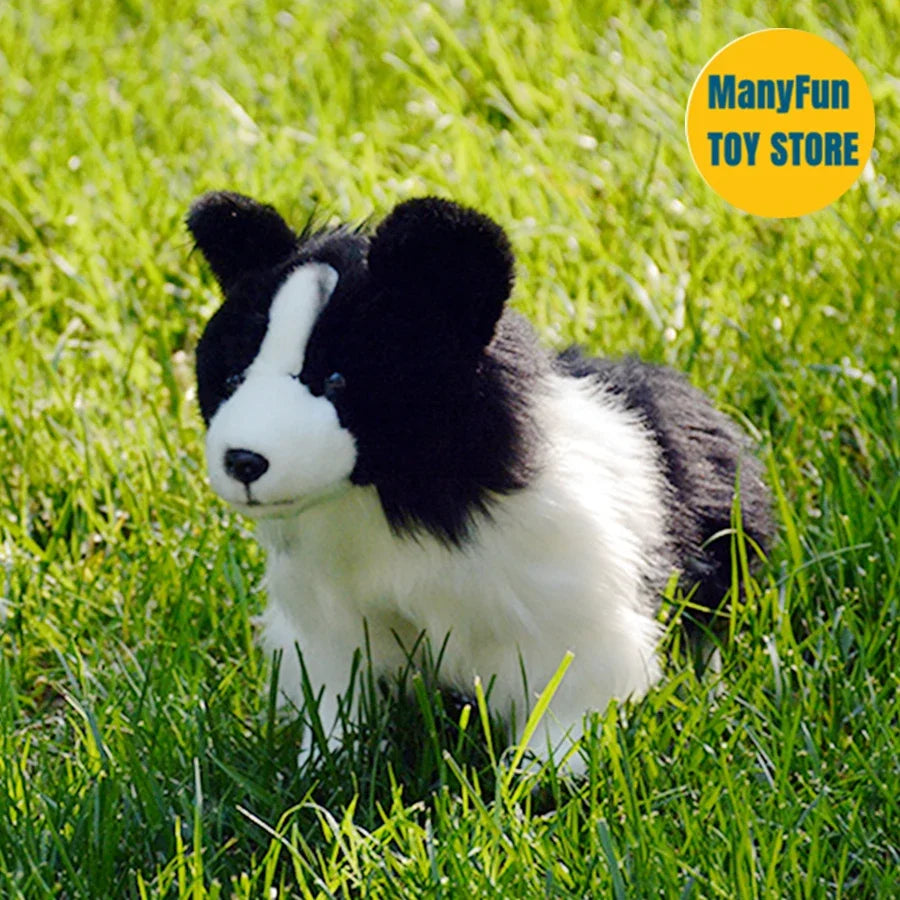 Realistic Border Collie High Fidelity Plushie Shepherd Dog Plush Toys Lifelike Dogs Stuffed Animals Simulation Doll Kawai Toy