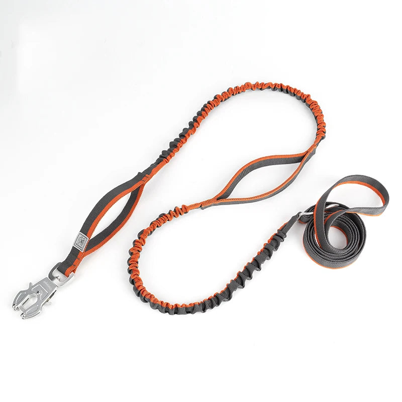 TRUELOVE Dog Leash Heavy Duty with Quick Release/Locking Frog Clip Waterproof Tactical Multi-function Bungee Cobra Buckle YL1833