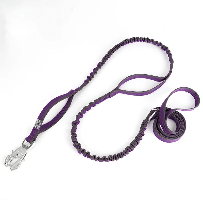 TRUELOVE Dog Leash Heavy Duty with Quick Release/Locking Frog Clip Waterproof Tactical Multi-function Bungee Cobra Buckle YL1833