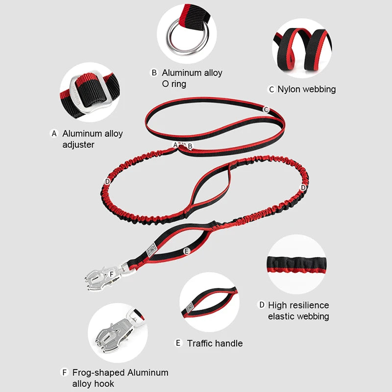 TRUELOVE Dog Leash Heavy Duty with Quick Release/Locking Frog Clip Waterproof Tactical Multi-function Bungee Cobra Buckle YL1833