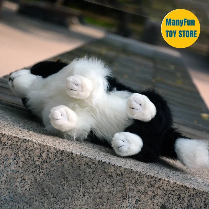 Realistic Border Collie High Fidelity Plushie Shepherd Dog Plush Toys Lifelike Dogs Stuffed Animals Simulation Doll Kawai Toy