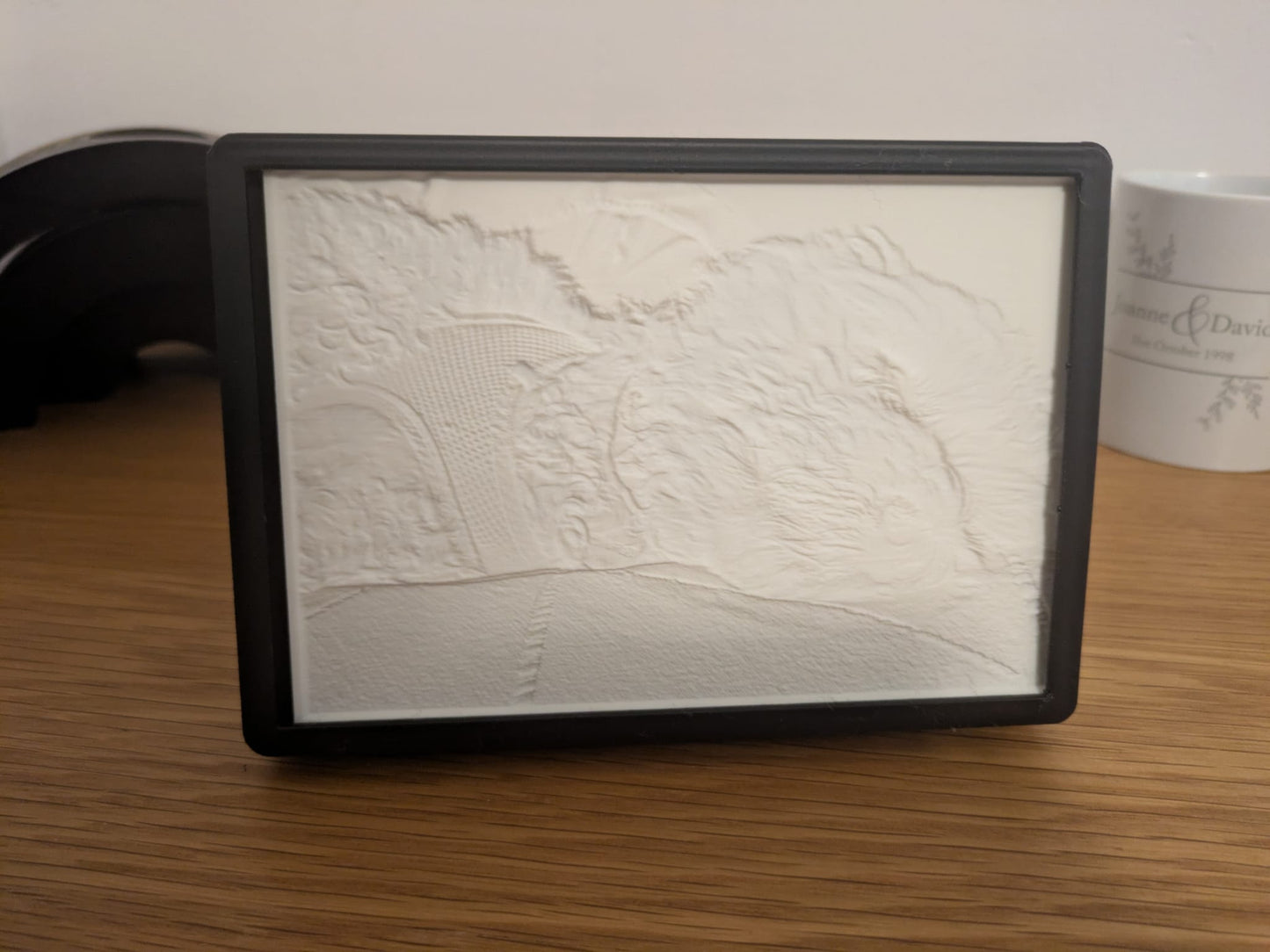 Custom 3D‑Printed Pet Lithophane with Light Box