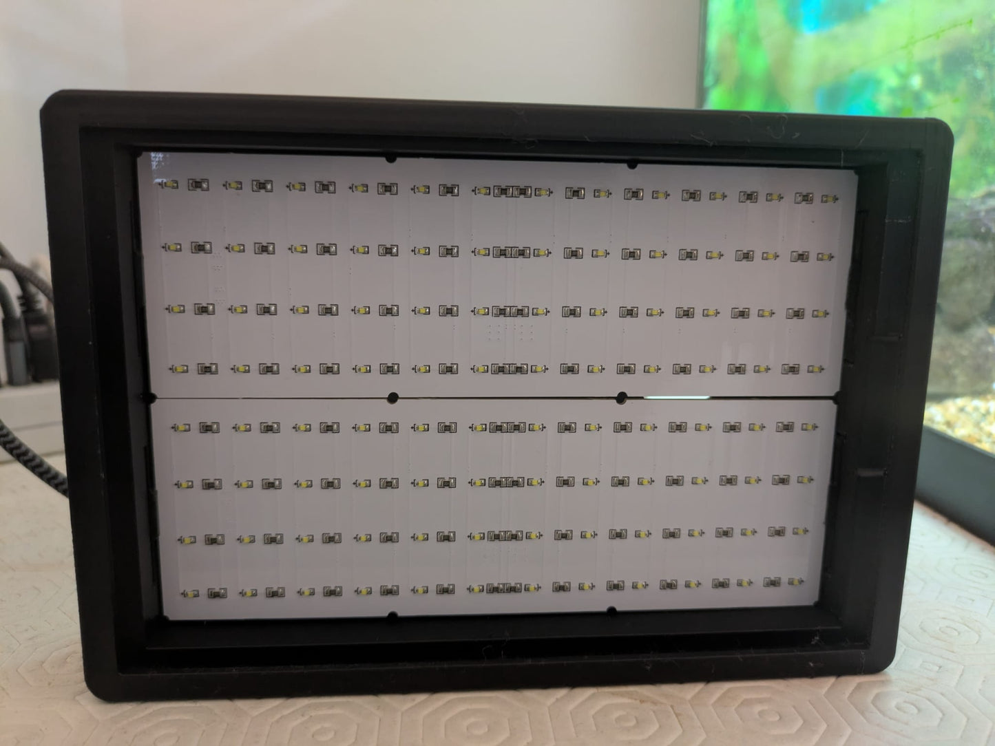 Custom 3D‑Printed Pet Lithophane with Light Box