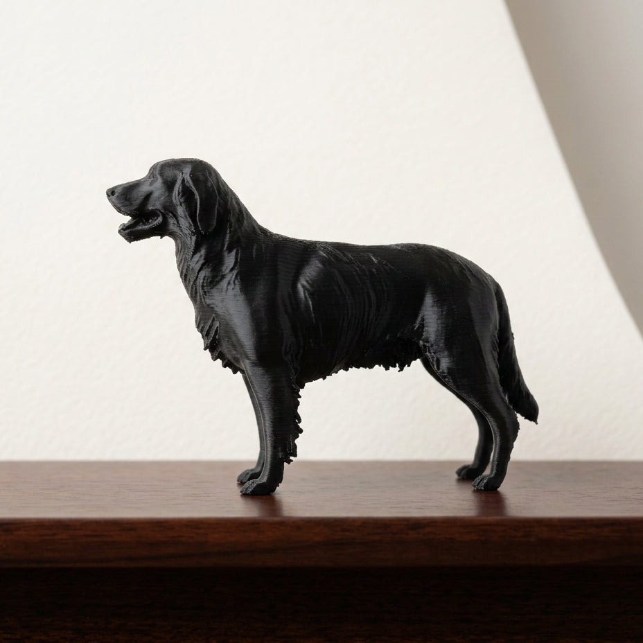Custom 3D Printed Pet Models