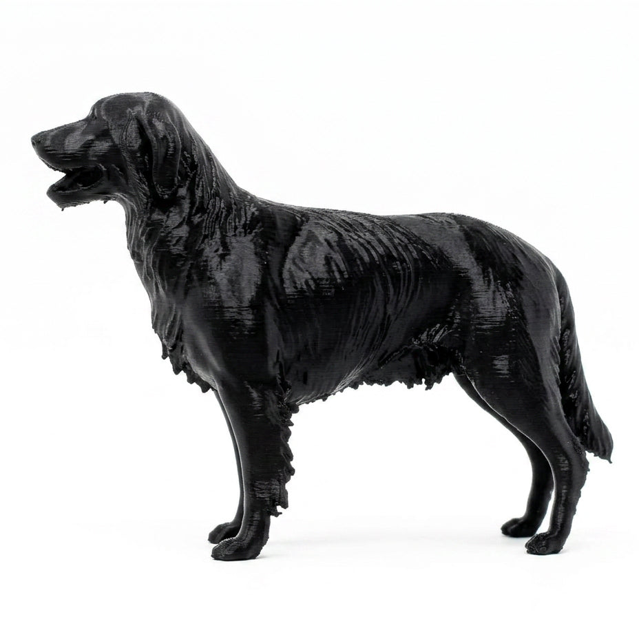Custom 3D Printed Pet Models