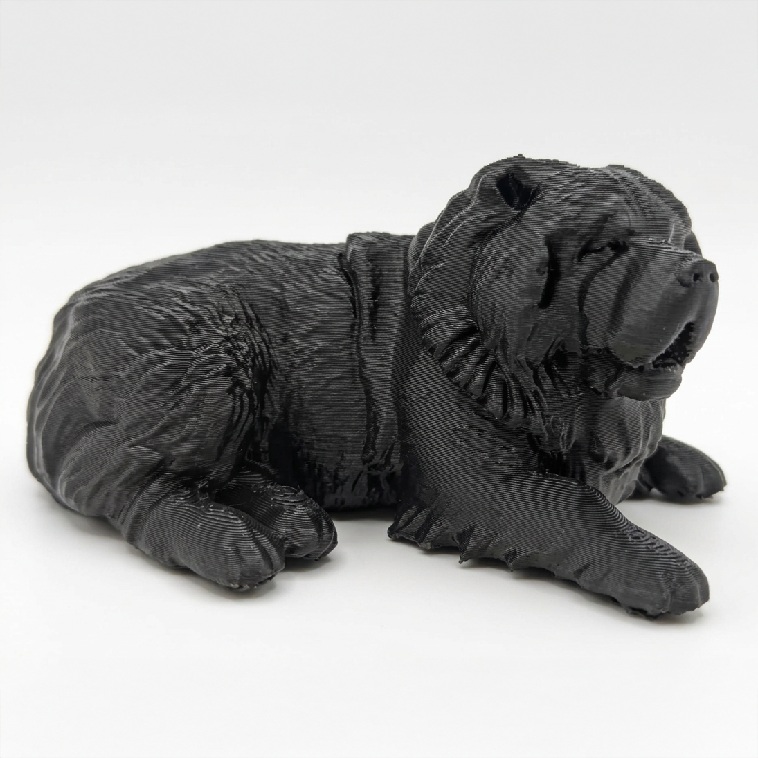 Custom 3D Printed Pet Models