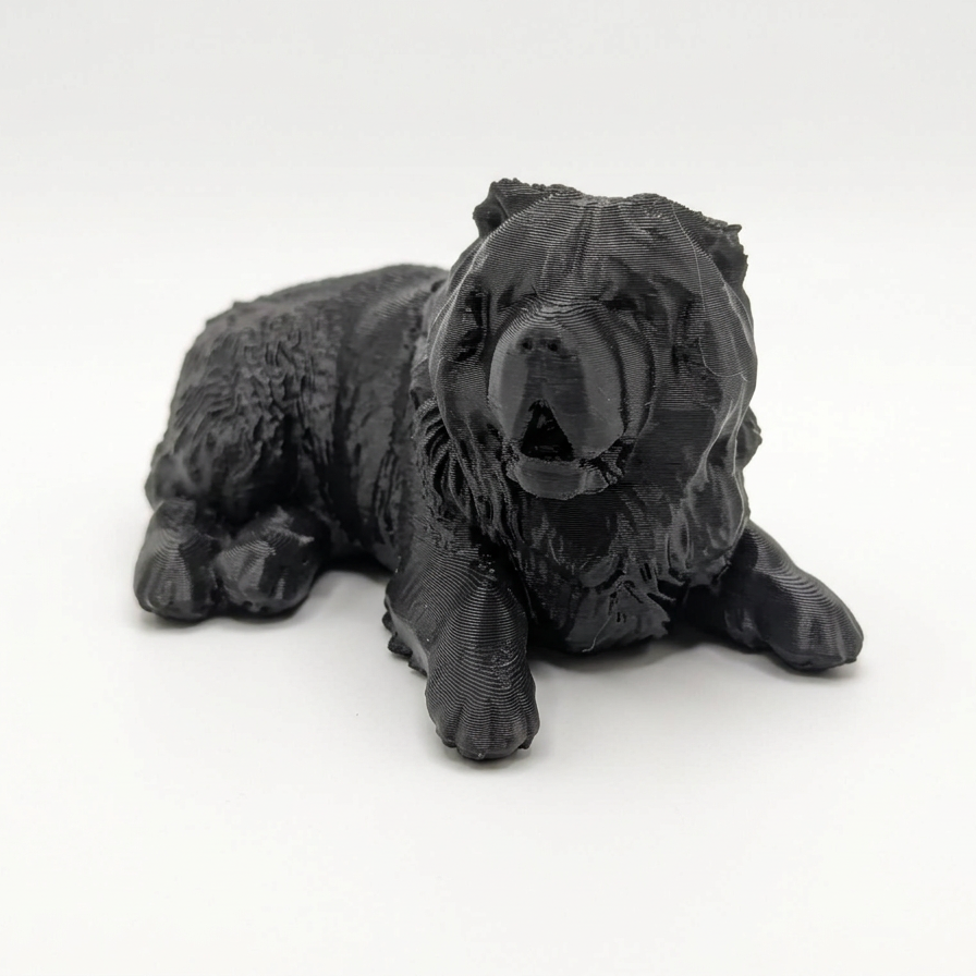 Custom 3D Printed Pet Models
