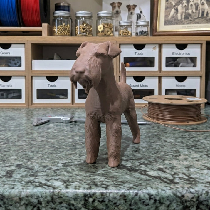 Custom 3D Printed Pet Models