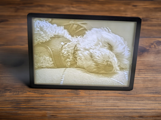 Custom 3D‑Printed Pet Lithophane with Light Box