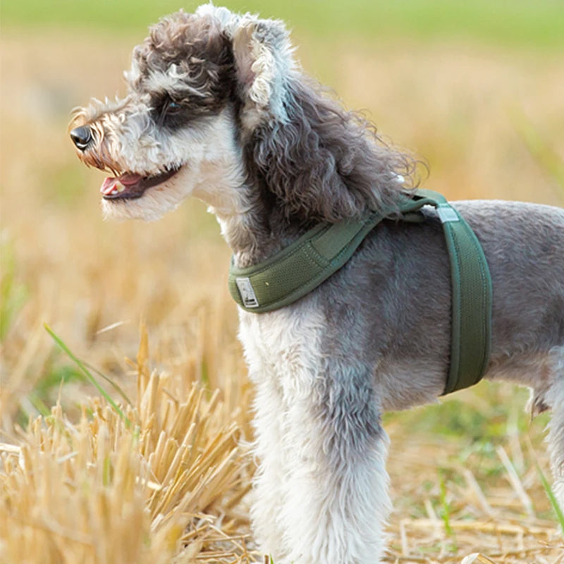 Truelove Easy‑Off Dog Harness | Soft, Adjustable & Reflective Pet Harness TLH3013