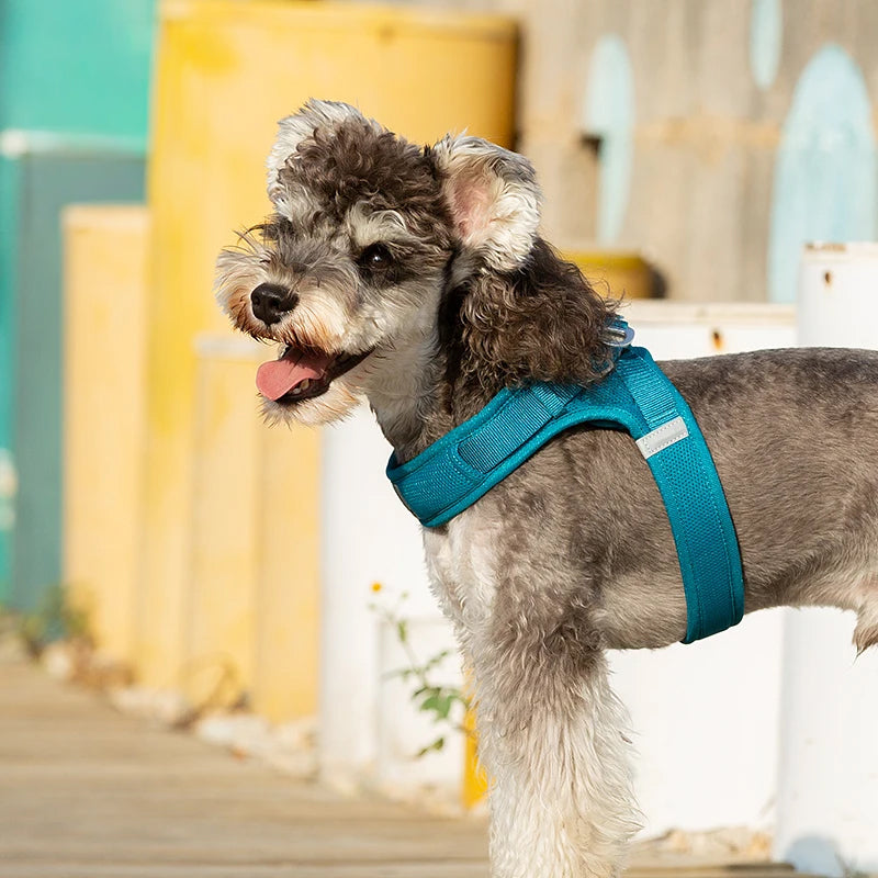Truelove Easy‑Off Dog Harness | Soft, Adjustable & Reflective Pet Harness TLH3013