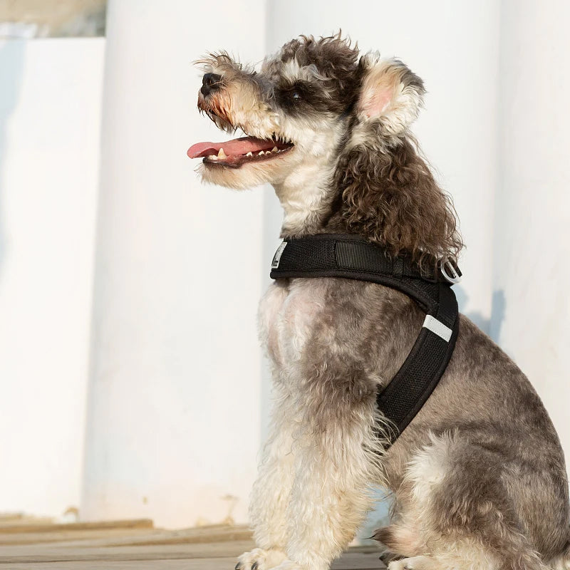 Truelove Easy‑Off Dog Harness | Soft, Adjustable & Reflective Pet Harness TLH3013