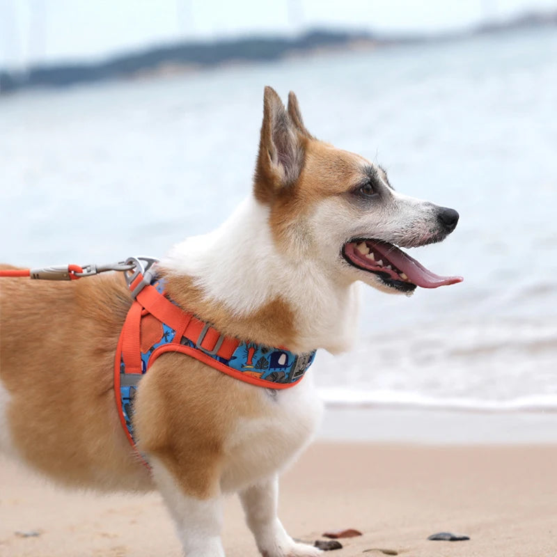 Truelove Easy‑Off Dog Harness | Soft, Adjustable & Reflective Pet Harness TLH3013