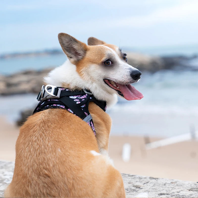 Truelove Easy‑Off Dog Harness | Soft, Adjustable & Reflective Pet Harness TLH3013