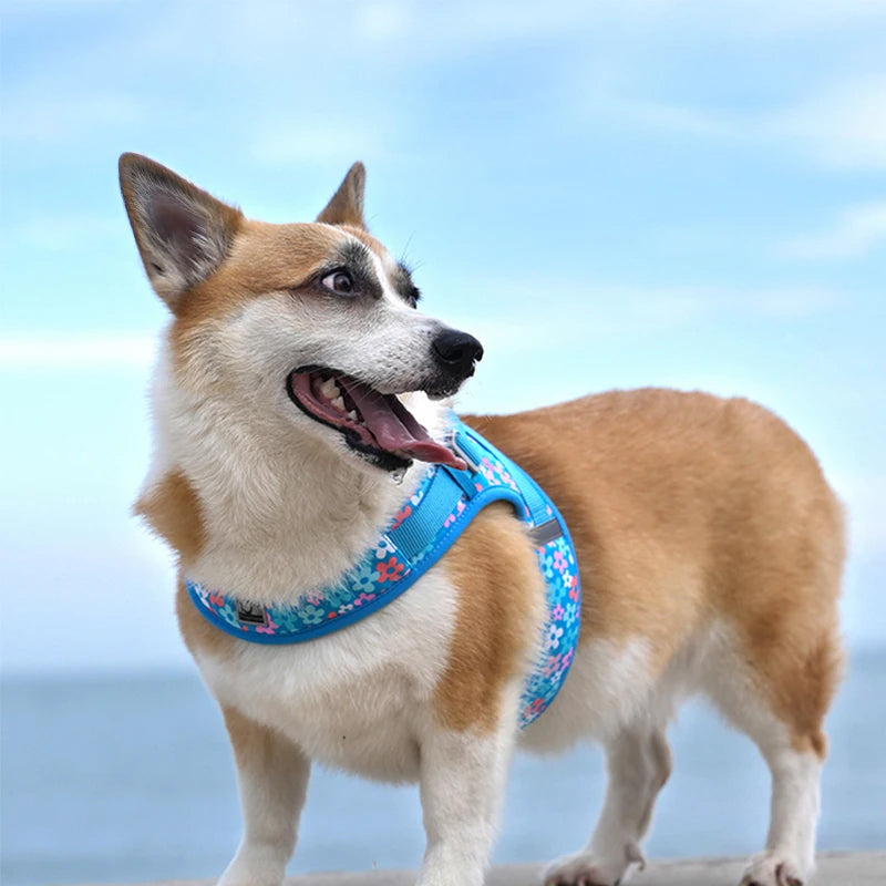 Truelove Easy‑Off Dog Harness | Soft, Adjustable & Reflective Pet Harness TLH3013
