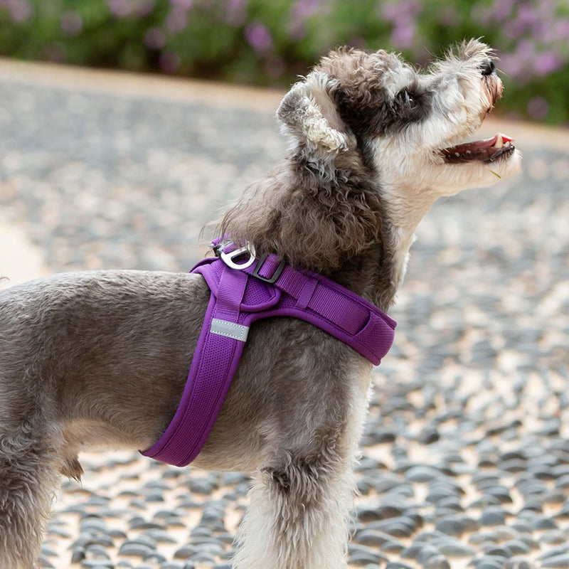 Truelove Easy‑Off Dog Harness | Soft, Adjustable & Reflective Pet Harness TLH3013