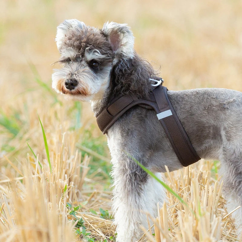 Truelove Easy‑Off Dog Harness | Soft, Adjustable & Reflective Pet Harness TLH3013