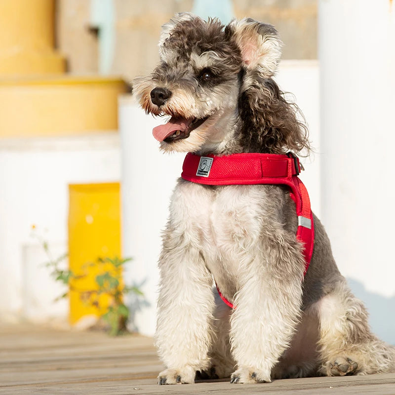 Truelove Easy‑Off Dog Harness | Soft, Adjustable & Reflective Pet Harness TLH3013