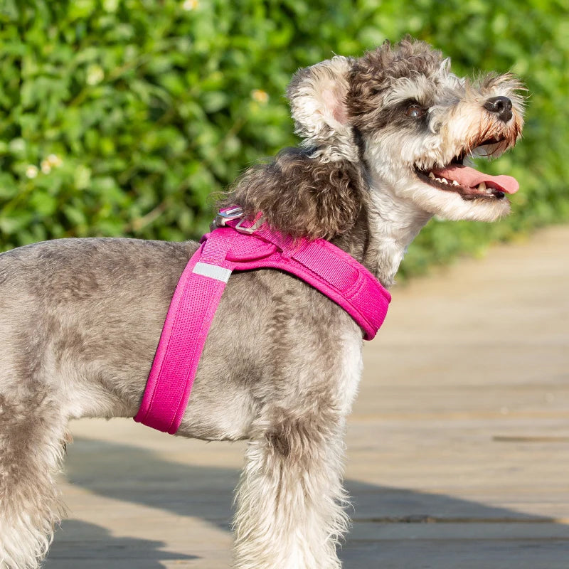 Truelove Easy‑Off Dog Harness | Soft, Adjustable & Reflective Pet Harness TLH3013