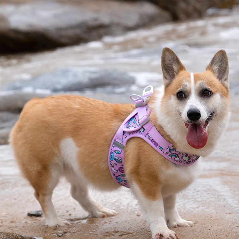 Truelove Easy‑Off Dog Harness | Soft, Adjustable & Reflective Pet Harness TLH3013
