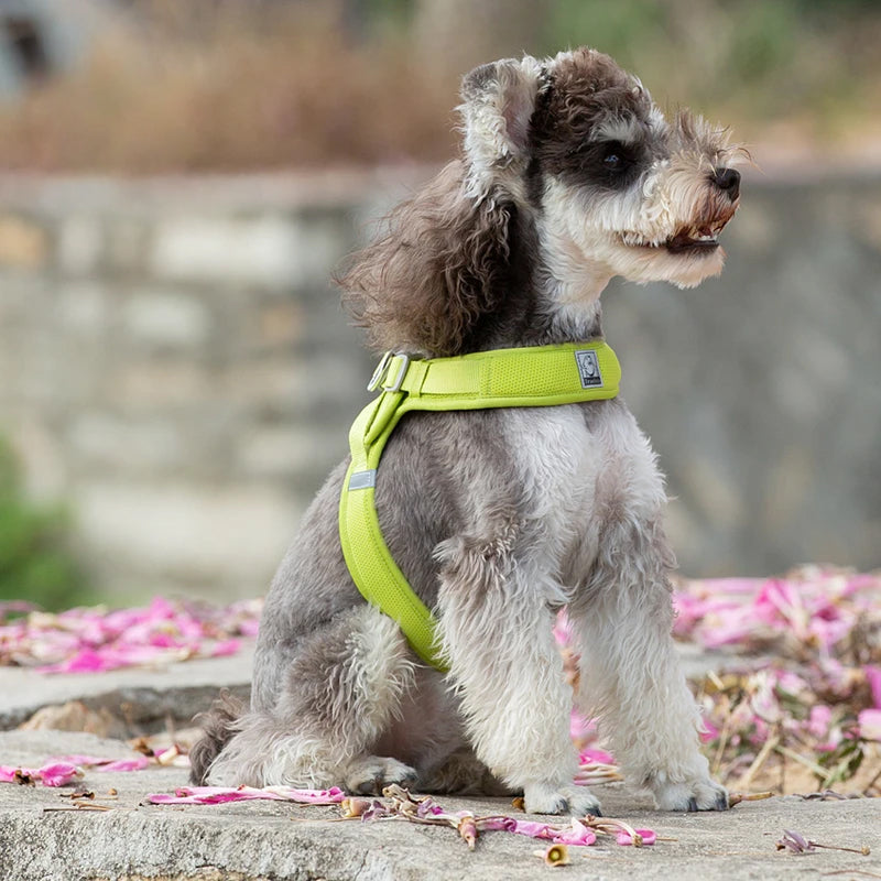 Truelove Easy‑Off Dog Harness | Soft, Adjustable & Reflective Pet Harness TLH3013