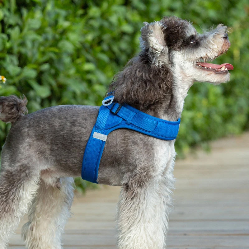 Truelove Easy‑Off Dog Harness | Soft, Adjustable & Reflective Pet Harness TLH3013