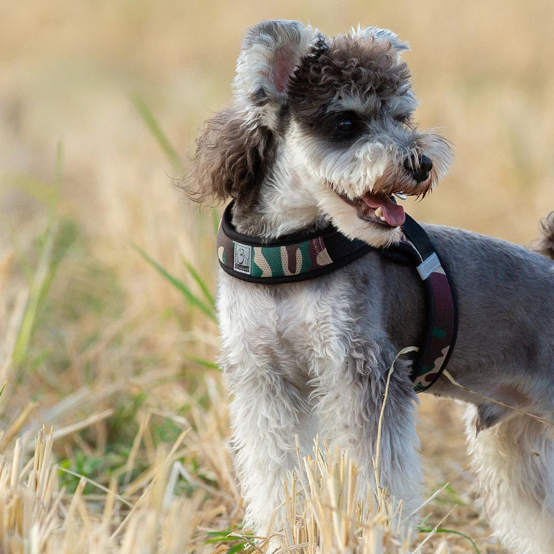 Truelove Easy‑Off Dog Harness | Soft, Adjustable & Reflective Pet Harness TLH3013