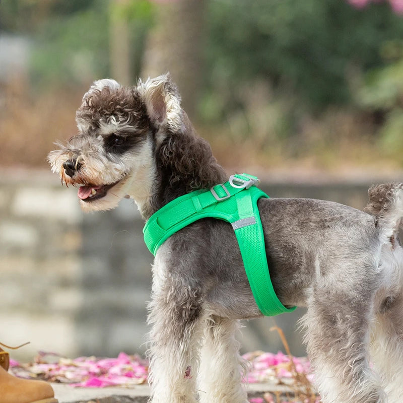 Truelove Easy‑Off Dog Harness | Soft, Adjustable & Reflective Pet Harness TLH3013