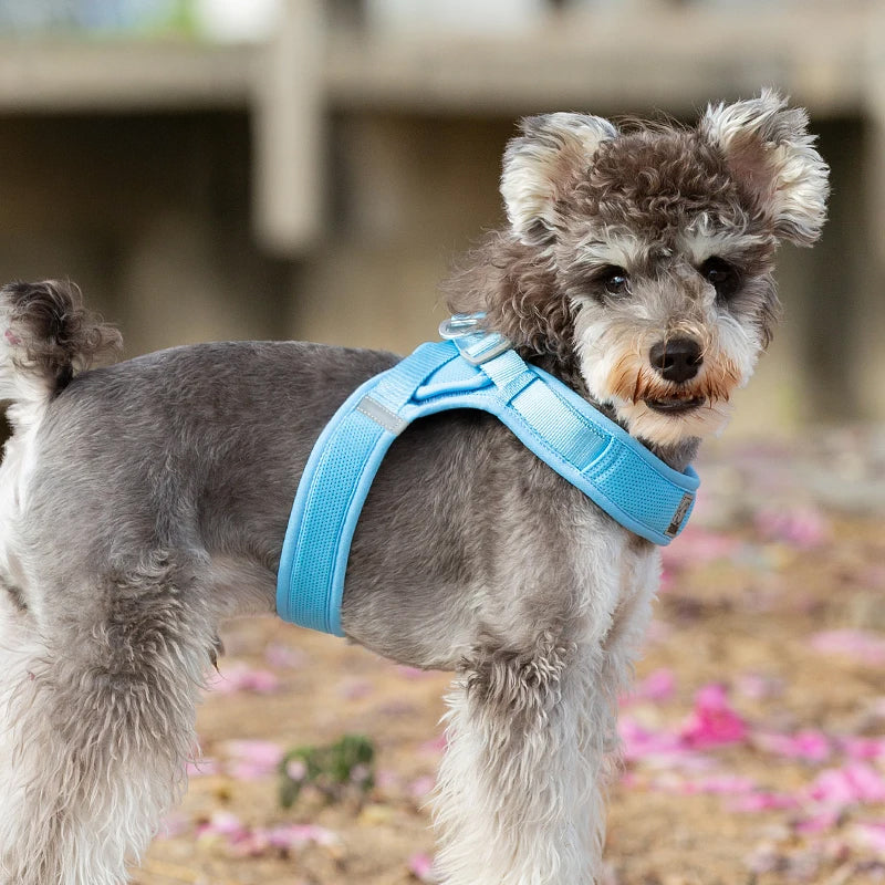 Truelove Easy‑Off Dog Harness | Soft, Adjustable & Reflective Pet Harness TLH3013