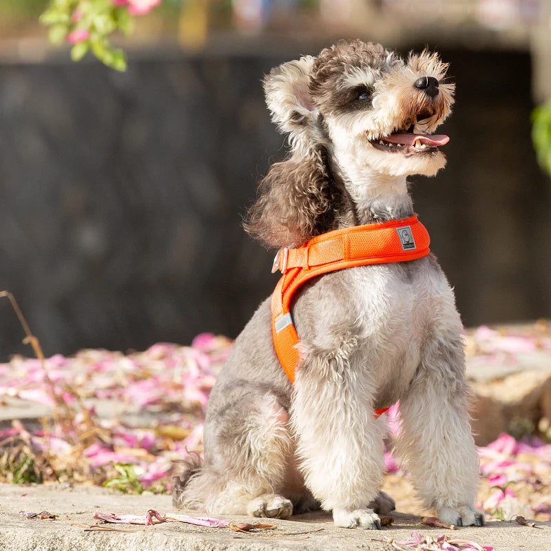 Truelove Easy‑Off Dog Harness | Soft, Adjustable & Reflective Pet Harness TLH3013