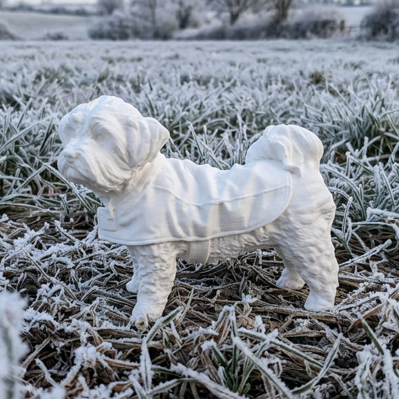 Custom 3D Printed Pet Models