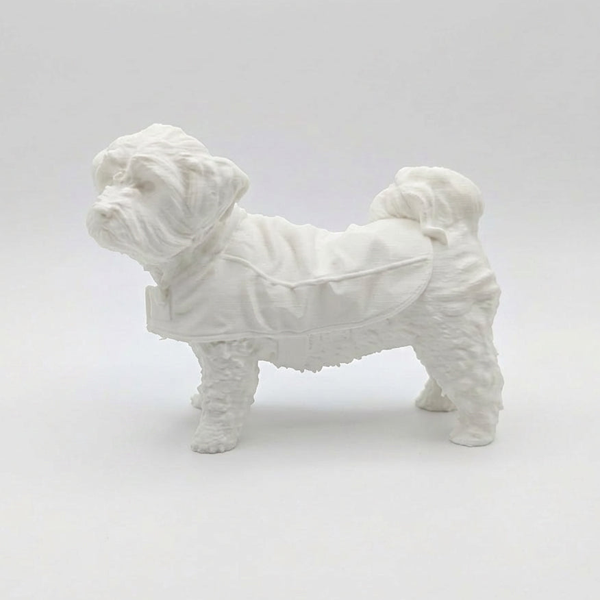 Custom 3D Printed Pet Models