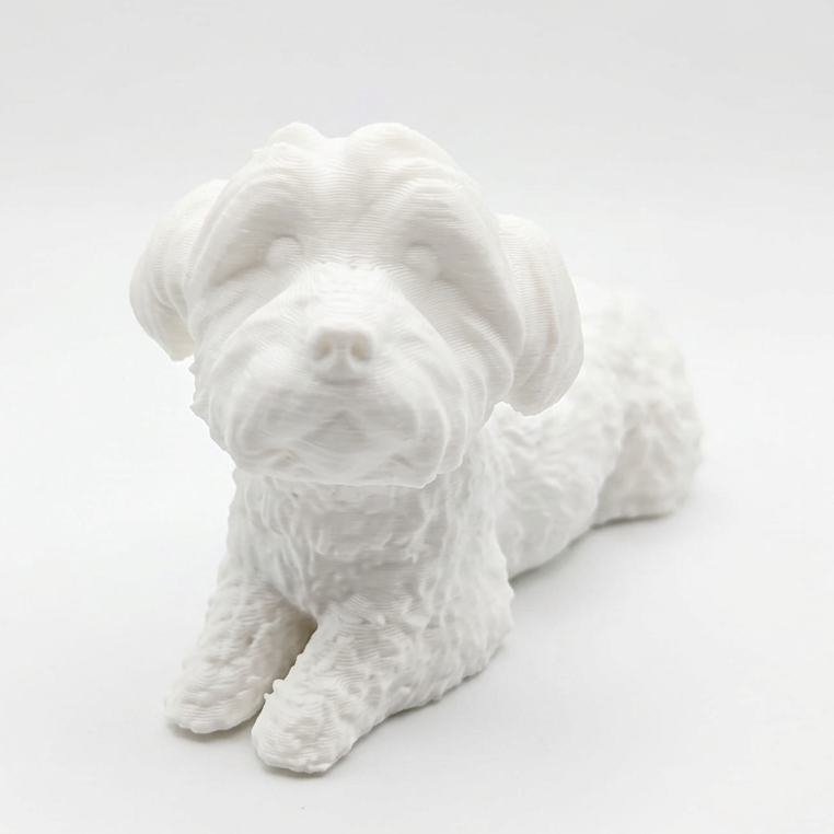 Custom 3D Printed Pet Models