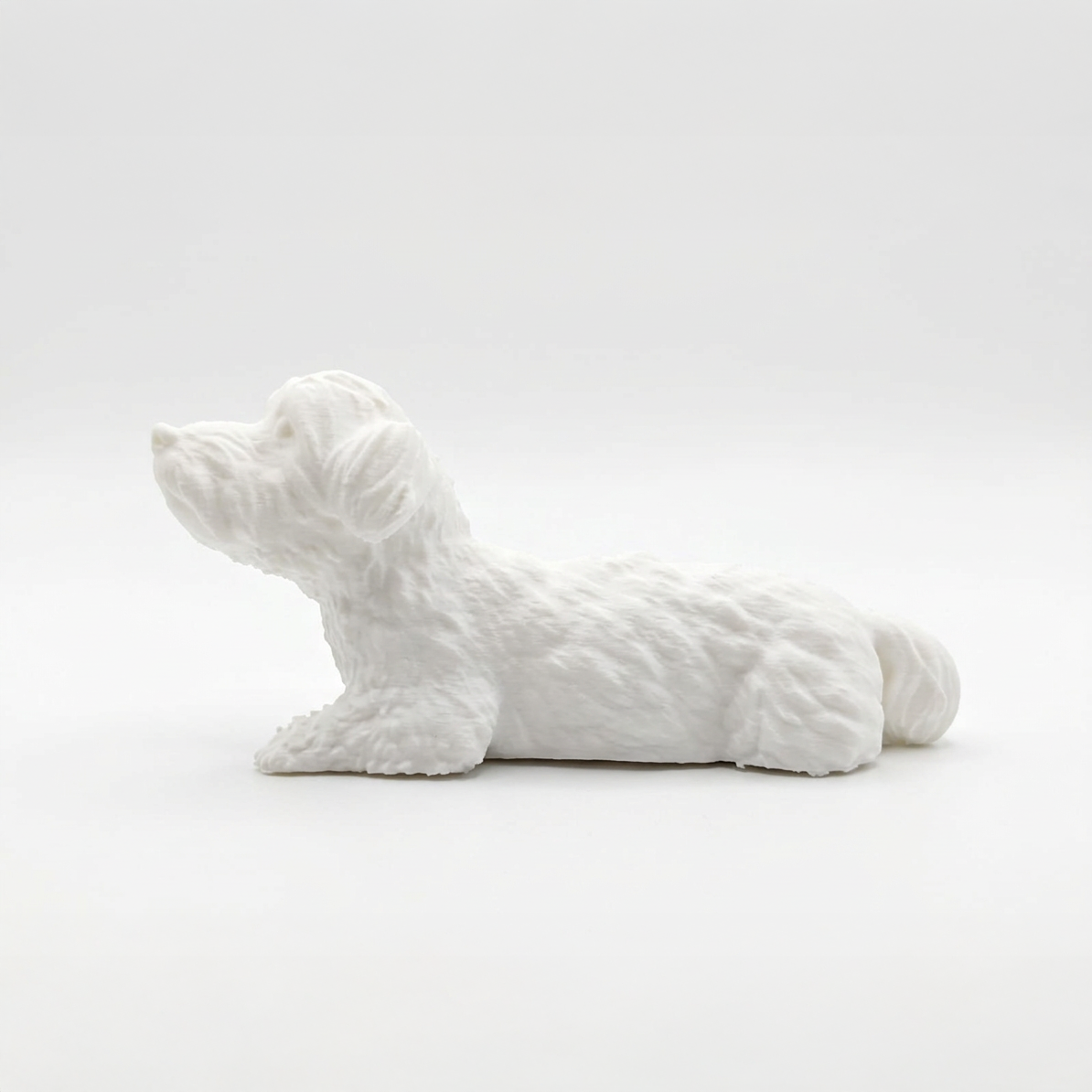 Custom 3D Printed Pet Models
